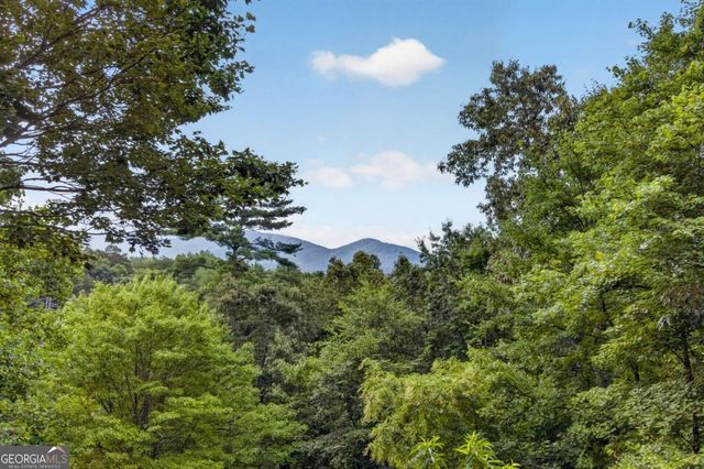 293 Weoka Court, Ellijay, GA 30540
