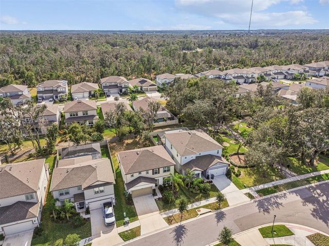 14161 HAMMOCK CREST WAY, Riverview, FL 33569