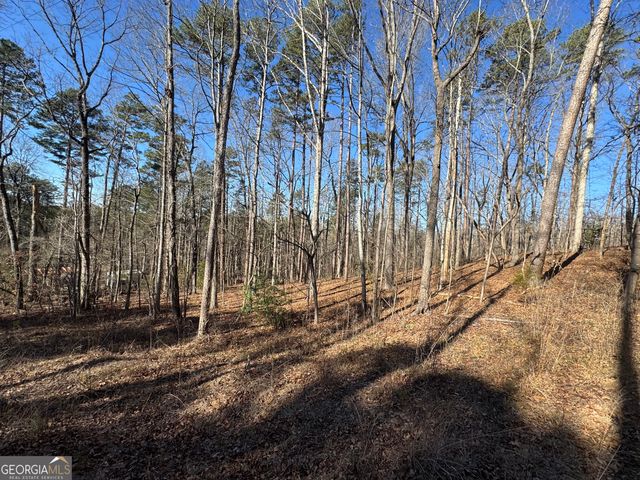192 Mountain Trail, Martin, GA 30557