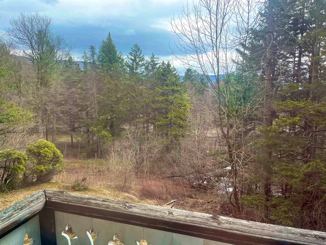 69 Park Street Alpine Haven, Westfield, VT 05859