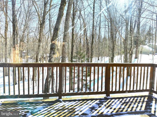 391 BERRY LN, Pocono Lake, PA 18347