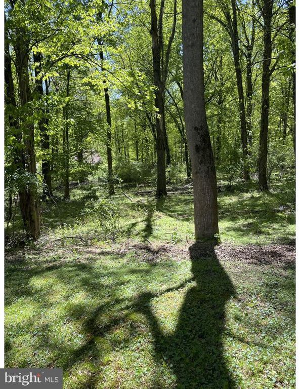 Image 35 of property listing at 12360 GREENSPRING AVE, Owings Mills, MD 21117