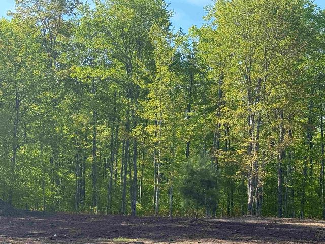 1128 E Solaris Way, Maple City, MI 49664