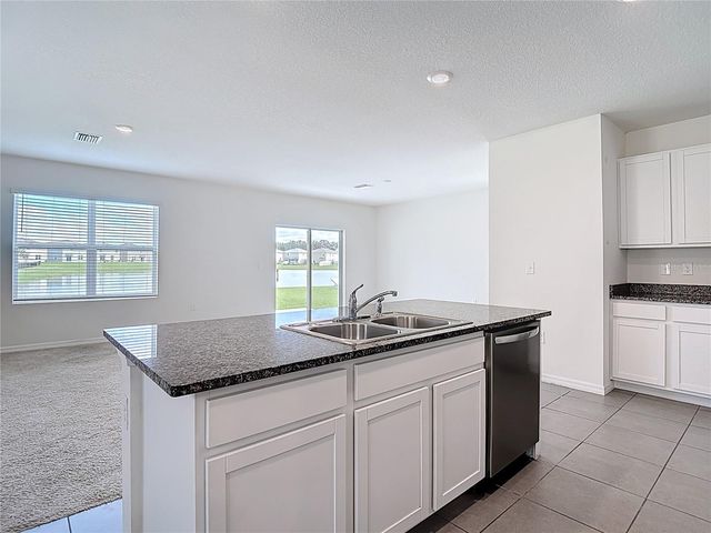 10982 PENNY GALE LOOP, San Antonio, FL 33576