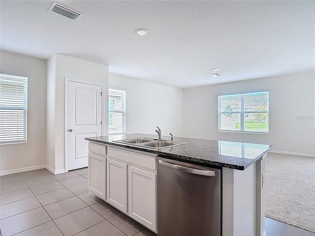 10982 PENNY GALE LOOP, San Antonio, FL 33576