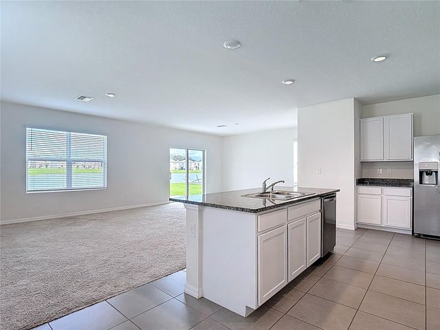 10982 PENNY GALE LOOP, San Antonio, FL 33576