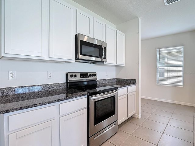 10982 PENNY GALE LOOP, San Antonio, FL 33576