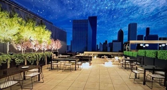 310 S Michigan Avenue 1100, Chicago, IL 60604