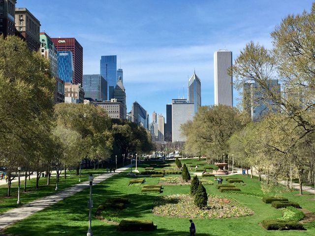 310 S Michigan Avenue 1100, Chicago, IL 60604