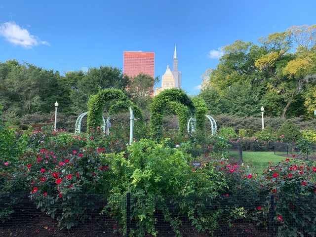 310 S Michigan Avenue 1100, Chicago, IL 60604