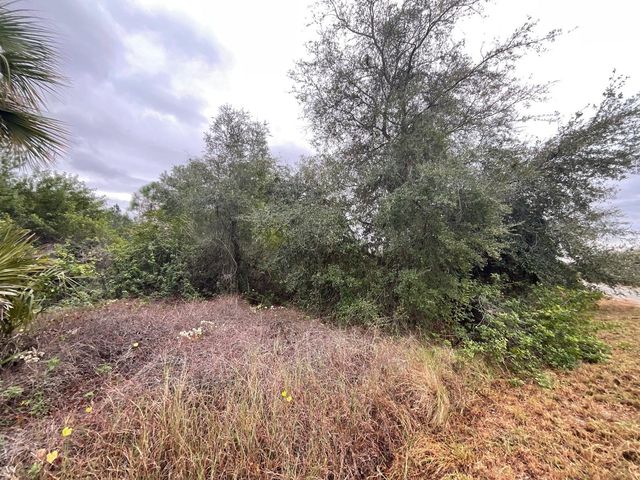 1608 SCOTT AVENUE, Lehigh Acres, FL 33972