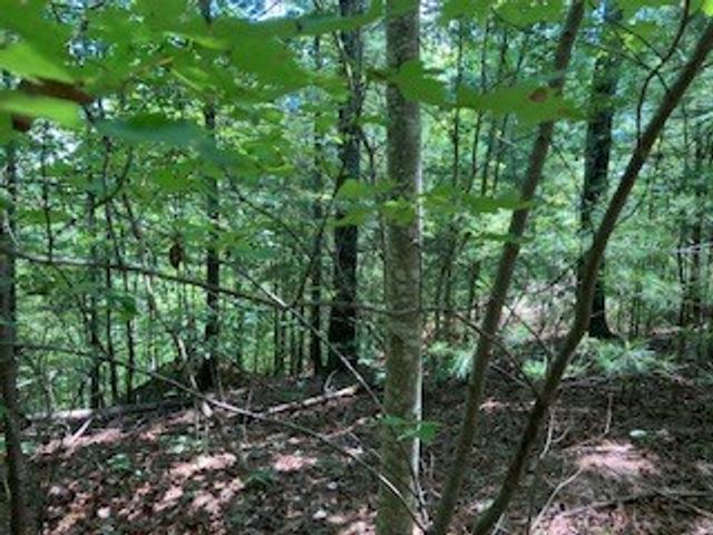 LT 797 Woodbine Lane, Ranger, GA 30734