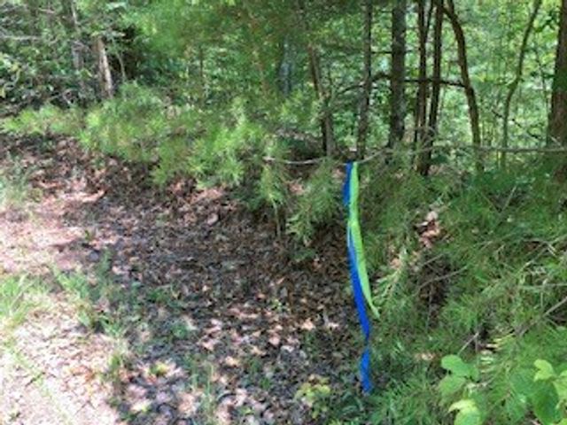 LT 797 Woodbine Lane, Ranger, GA 30734