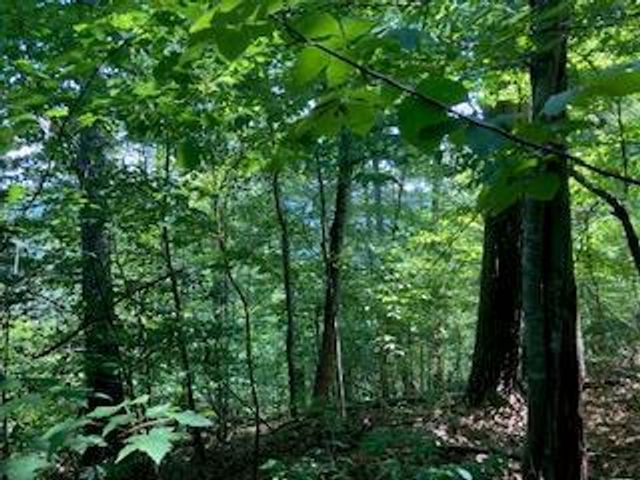 LT 797 Woodbine Lane, Ranger, GA 30734