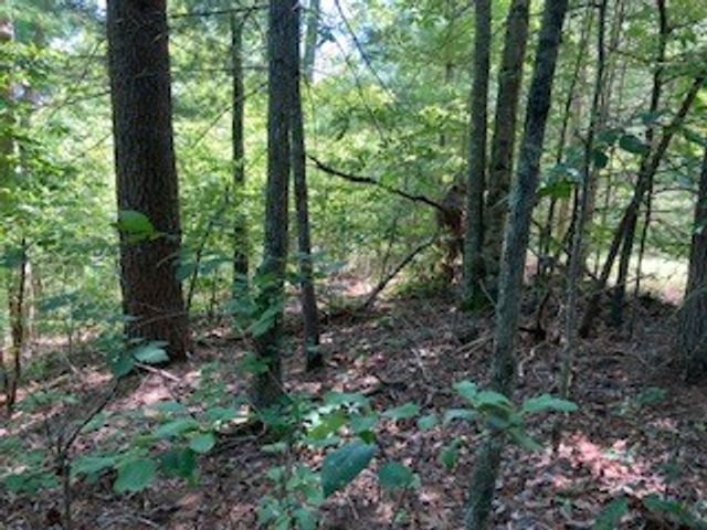 LT 797 Woodbine Lane, Ranger, GA 30734