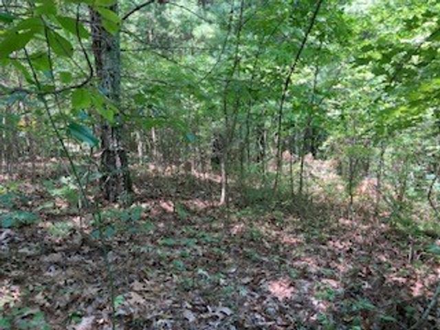 LT 797 Woodbine Lane, Ranger, GA 30734