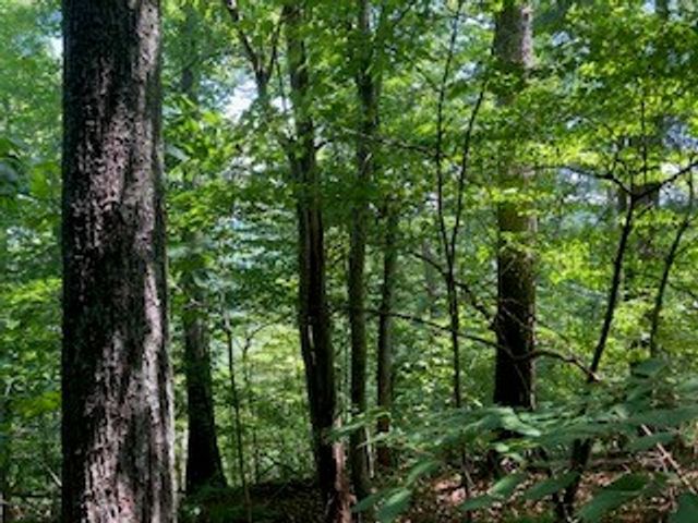 LT 797 Woodbine Lane, Ranger, GA 30734