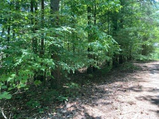 LT 797 Woodbine Lane, Ranger, GA 30734