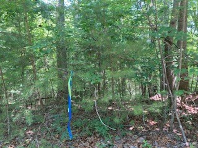 LT 797 Woodbine Lane, Ranger, GA 30734