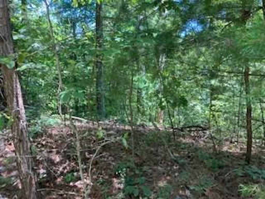 LT 797 Woodbine Lane, Ranger, GA 30734