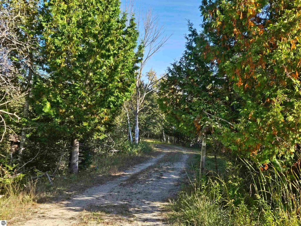 Wooded path leading through lush greenery on a 25.21-acre property near 5971 E Point Road, Harrisville, MI, ideal for outdoor activities and secluded living.