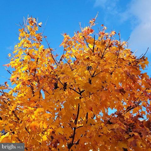 2304 BROOKE GROVE RD, Bowie, MD 20721