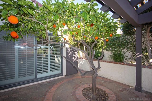 12911 Caminto Dosamantes, San Diego, CA 92128