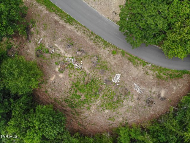 101 Pointe Drive, Piney Flats, TN 37686