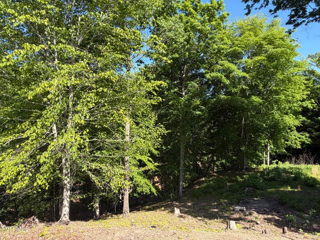 101 Pointe Drive, Piney Flats, TN 37686