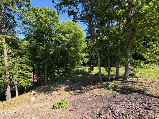 101 Pointe Drive, Piney Flats, TN 37686