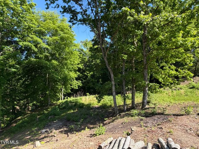 101 Pointe Drive, Piney Flats, TN 37686