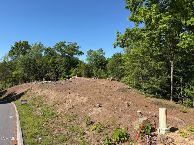 101 Pointe Drive, Piney Flats, TN 37686