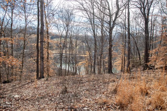 101 Pointe Drive, Piney Flats, TN 37686