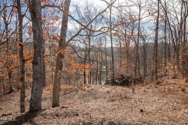 101 Pointe Drive, Piney Flats, TN 37686