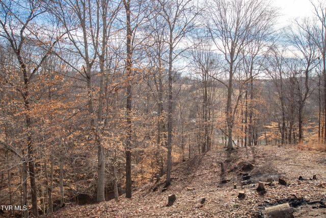 101 Pointe Drive, Piney Flats, TN 37686