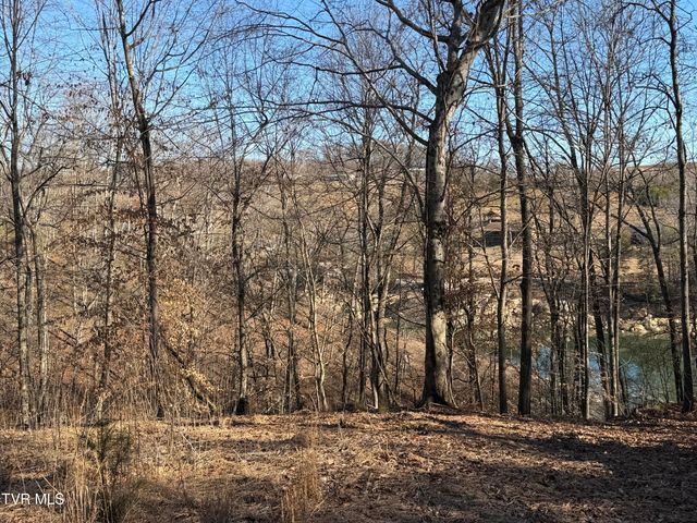 101 Pointe Drive, Piney Flats, TN 37686