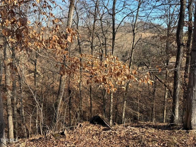 101 Pointe Drive, Piney Flats, TN 37686
