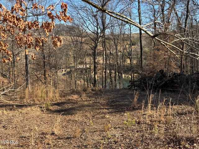 101 Pointe Drive, Piney Flats, TN 37686