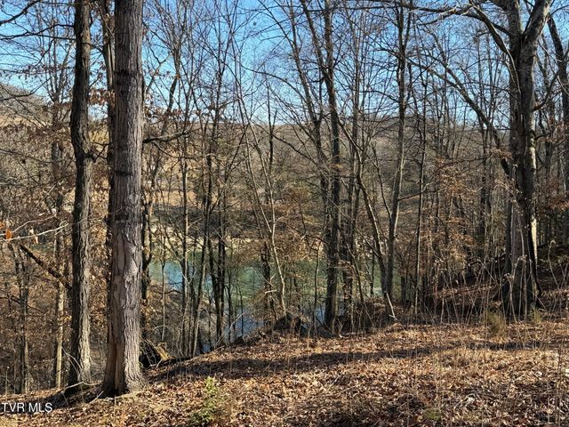 101 Pointe Drive, Piney Flats, TN 37686