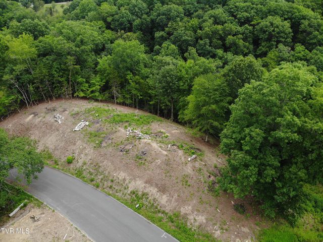 101 Pointe Drive, Piney Flats, TN 37686