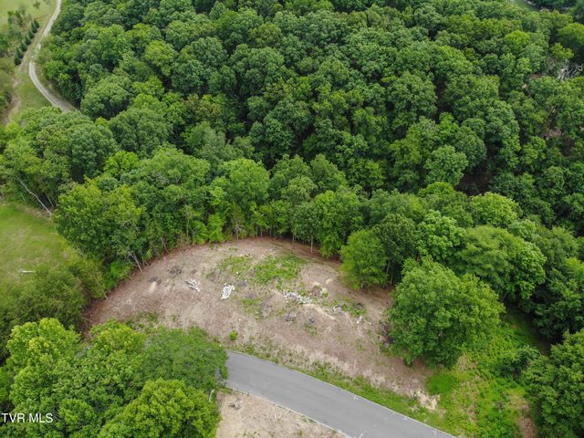 101 Pointe Drive, Piney Flats, TN 37686