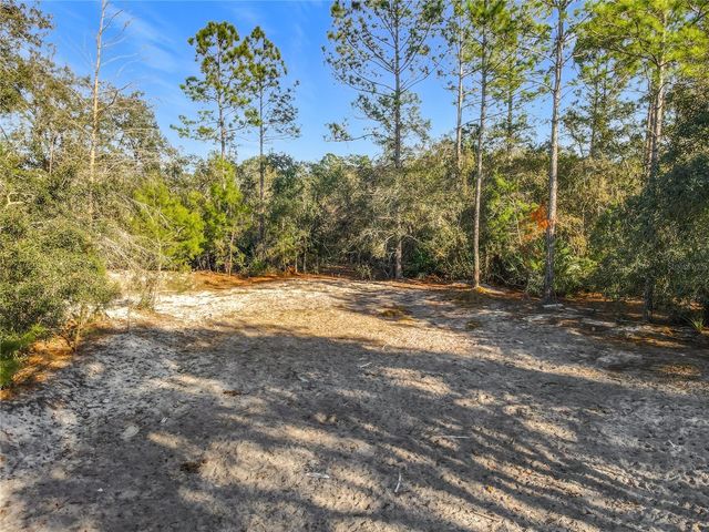 43430 COOTER POND ROAD, Deland, FL 32720