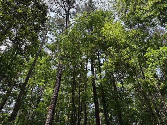 235 Squirrel, Newton, AL 36352