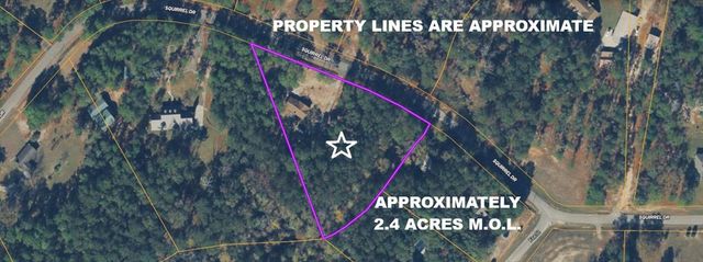 235 Squirrel, Newton, AL 36352