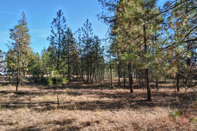 6578 Kate Dr, Nine Mile Falls, WA 99026