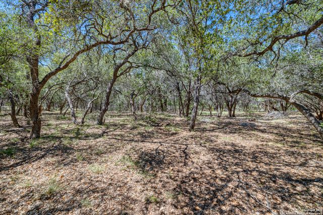 1023 MARIPOSA AVE, Concan, TX 78838