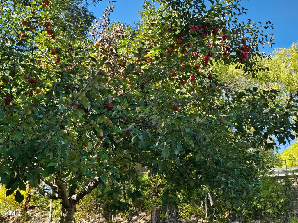 411 5th Avenue NW, Mandan, ND 58554 photo 3