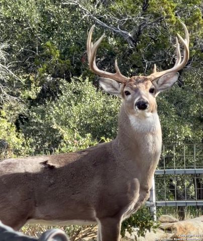 218 Mountain Side, Lakehills, TX 78063