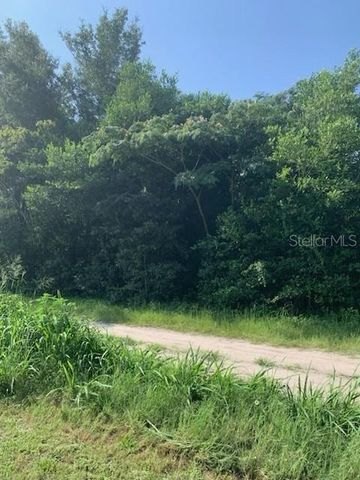 TBA SE 145TH PLACE, Summerfield, FL 34491