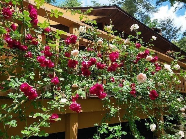 38 Woodside Rd, Harvard, MA 01451